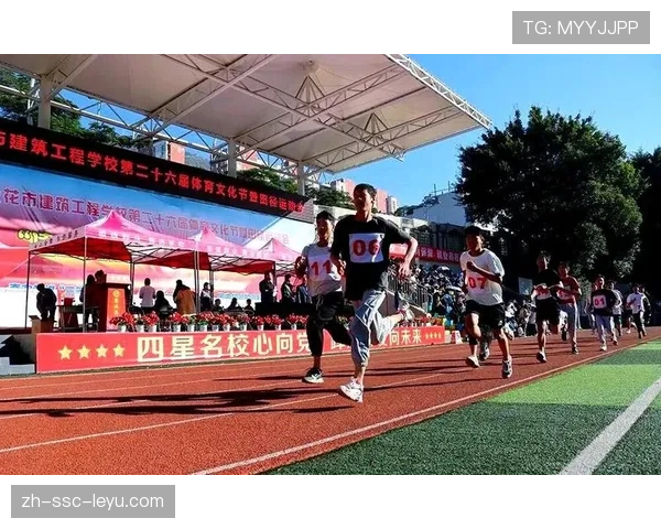 体育赛事与本地文化节融合，提升活动吸引力，体育文化节活动项目